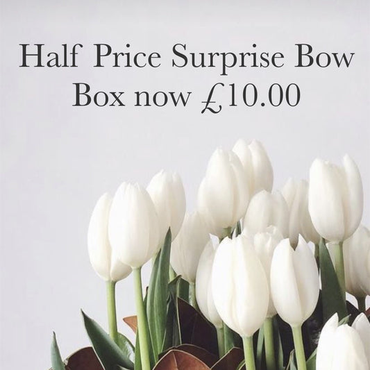 Half Price Surprise Bow Box